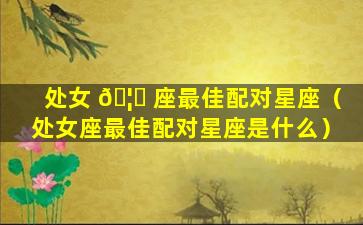 处女 🦈 座最佳配对星座（处女座最佳配对星座是什么）